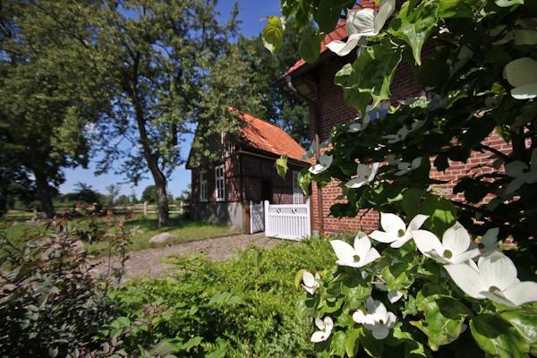 Landgasthof Zur Heideschenke Hotel Wolthausen Exterior photo